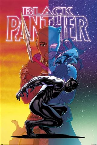 Black Panther Wakanda Forever Colour Split