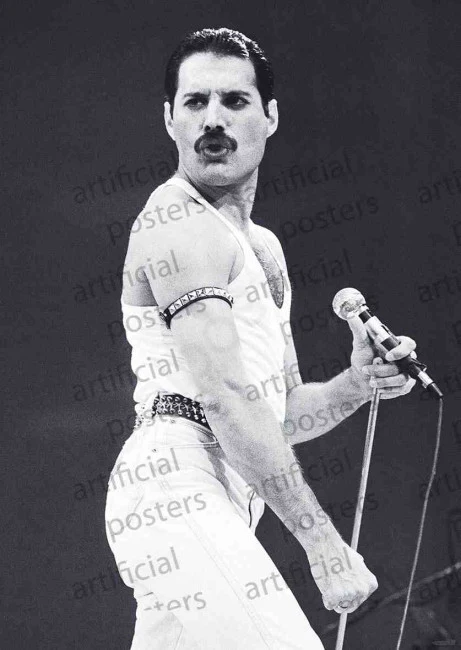 Freddie Mercury Live AID
