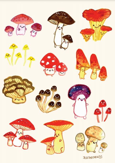 Mushrooms by Jess Chen
