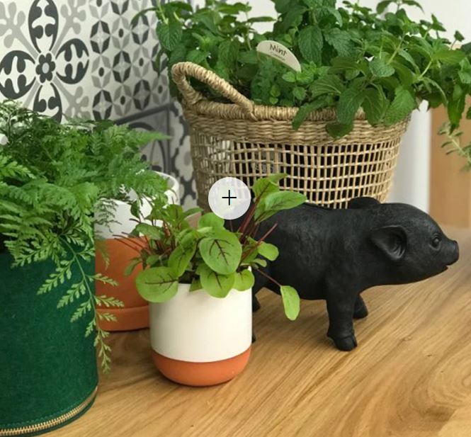 Piggy Bank - Black - Image 2