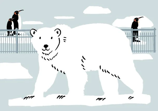 Polar Bear by Simone Hale A5