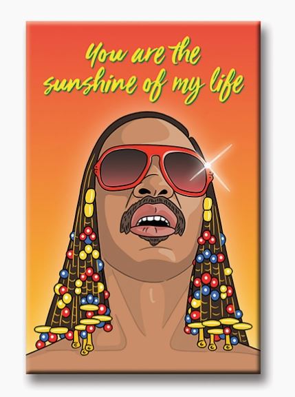 Stevie Wonder Magnet