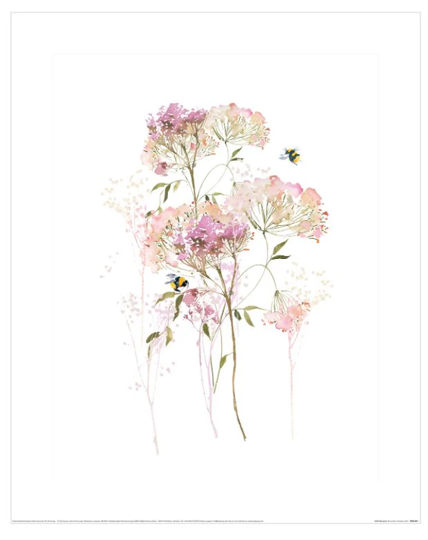 Summer Thornton Wild Meadow