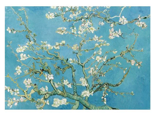 Vincent Van Gogh - Almond Branches