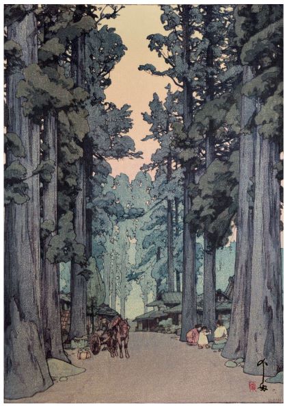 Yoshido -Cryptomeria Avenue